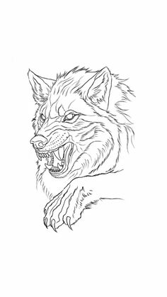 a drawing of a wolf with its mouth open