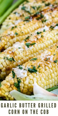 grilled corn on the cob with parmesan cheese and fresh herbs is an easy side dish