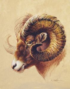 a painting of a ram with large horns