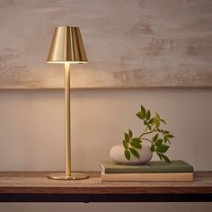 a table with a lamp, books and a plant on top of the bookcase