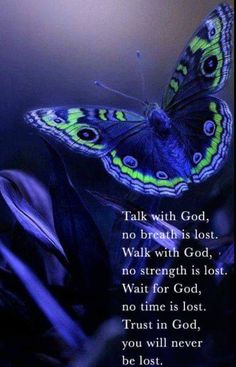 a blue and green butterfly sitting on top of a purple flower with the words talk with god, no breath is lost walk with god, no strength is lost