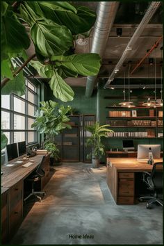 an office with lots of green plants in it