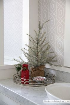 a small christmas tree sitting on top of a counter