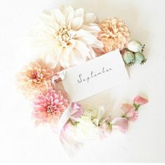 some flowers are laying on top of a white surface with a name card in the middle