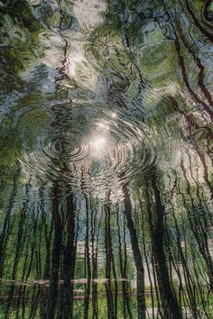 the reflection of trees in water with sunlight coming through them and creating a circular pattern