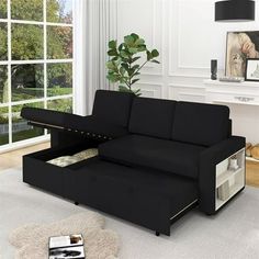 a living room scene with focus on the sofa bed