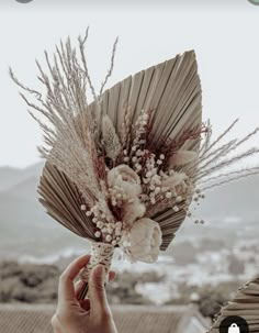 a hand holding a bouquet of dried flowers in front of an open book with mountains in the background