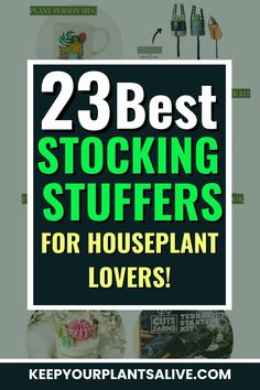 the words 23 best stocking stuff for houseplant lovers are in green and black