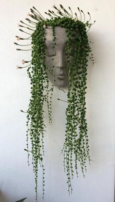 a head is covered with green plants on the wall