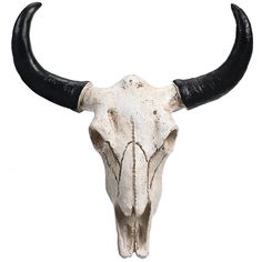 an animal skull with long horns on a white background