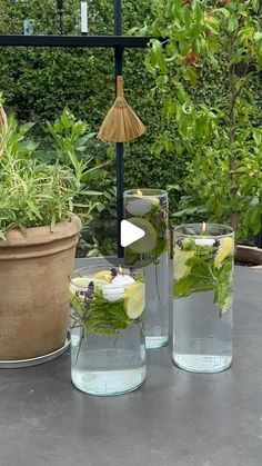 three vases filled with water and plants on top of a table