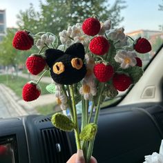 a hand holding a bunch of strawberries with a black cat on it's head