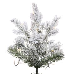 a christmas tree with white lights and snow on it's branches is shown in front of a white background