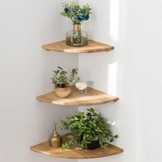 Enhance your home decor with our 100% solid oak corner wall shelf. This stylish and functional shelf is designed to fit 90-degree walls, making it perfect for any corner space. Each shelf is uniquely crafted from premium oak wood, featuring a clear natural finish that showcases the beauty of the wood grain. Ideal for displaying plants, books, and decor items, it is a practical solution for saving space and organizing your room. Loon Peak® Color/Finish: Natural Wood | Loon Peak® 100% Solid Oak Co Float Shelf, Corner Shelf Ideas, Corner Shelf Design, Wood Corner Shelves, Wall Mounted Corner Shelves, Corner Wall Shelves, Floating Corner Shelves, Regal Design, Corner Decor