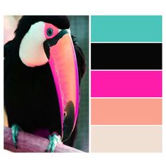 a toucan is perched on a branch with color swatches