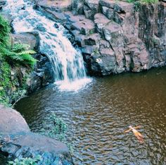 there is a small waterfall in the middle of this pond with a goldfish swimming below it