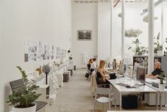 people are sitting at desks in an office with plants and pictures on the walls