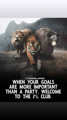 two tigers and a bear are on the ground with mountains in the background that says, when your goals are more important than a party, welcome to the 1 % club