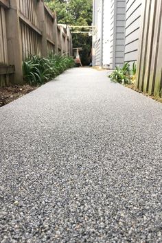 a cat is standing on the side walk