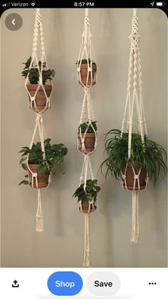 four hanging planters with plants in them on the wall next to a potted plant