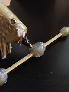 a close up of a fish on a toothpick with ice cubes around it