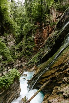 a river flowing through a lush green forest next to a tall rock cliff covered in greenery