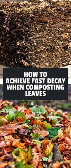 leaves are laying on the ground and in front of a planter that says, how to achieve fast decay when composting leaves