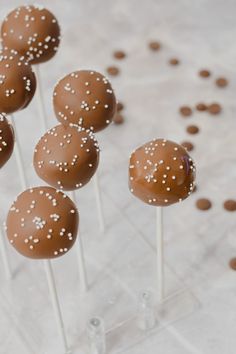 chocolate cake pops with white sprinkles on them