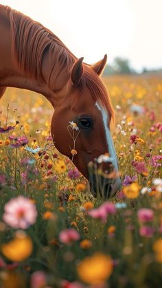 a brown horse standing on top of a lush green field filled with pink and yellow flowers