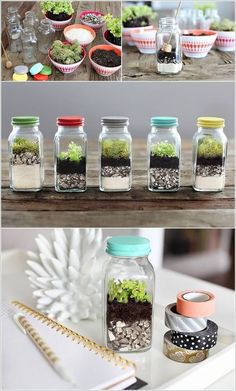 an image of some jars filled with plants and dirt on top of a table next to a