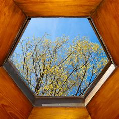 looking up at the sky through an octagonal window in a wooden structure with trees outside