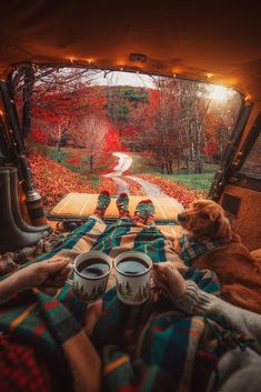 a man and his dog sitting in the back of a truck with two cups of coffee