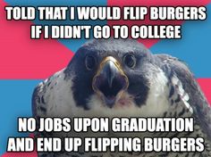 a bird that is sitting in front of a red and blue background with the caption told that i would flip burgerers if i didn't go to college no jobs upon graduation and end flipping burgers