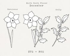 three different types of flowers are shown in black and white, with the words north flower december