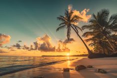 the sun is setting on a tropical beach with palm trees