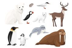 various types of animals and birds on a white background