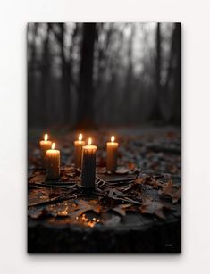 four lit candles sitting on top of leaves in the middle of a forest with trees