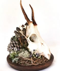 an animal skull with antlers on top of it