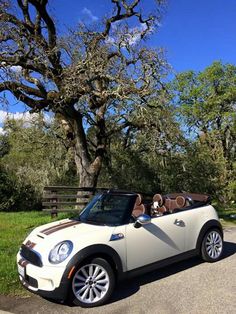 a small white convertible car parked on the side of a road next to a tree