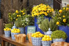 there are many potted lemons and other plants on the table with flowers in them