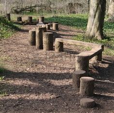 a row of wooden benches sitting on top of a dirt field next to a forest