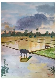 #watercolorpainting #cow #kerala #nature #sunset #naturelove Colour Painting, Watercolor Landscape Paintings, Pencil Art Drawings, A3 Size, Water Painting, Watercolor Bird, Water Colour, Watercolor Landscape, Pencil Art