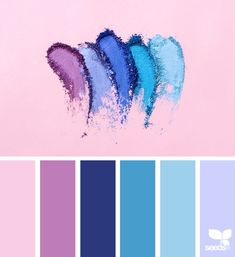 blue and purple color swatches on a pink background