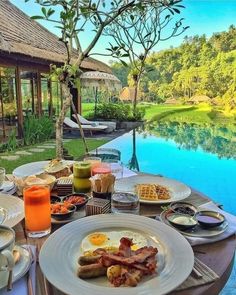 Beautiful Place Swimming With Dolphins, Beautiful Hotels, Ubud, Travel Food, Luxury Travel