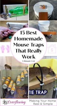 the best homemade mouse traps that really work and how to keep them out of trouble