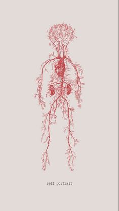 an illustration of the human body with branches and flowers growing out of it's heart