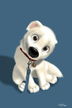 a white dog with big eyes and a leash around its neck sitting on a blue background