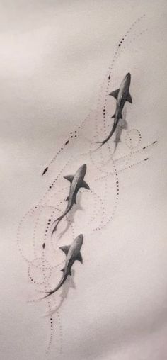 four sharks are flying in the sky together