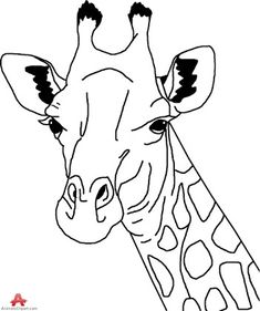 a giraffe's head is shown in black and white