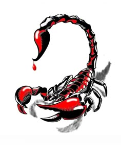 a scorpion tattoo with red and black ink on it's back, in front of a white background